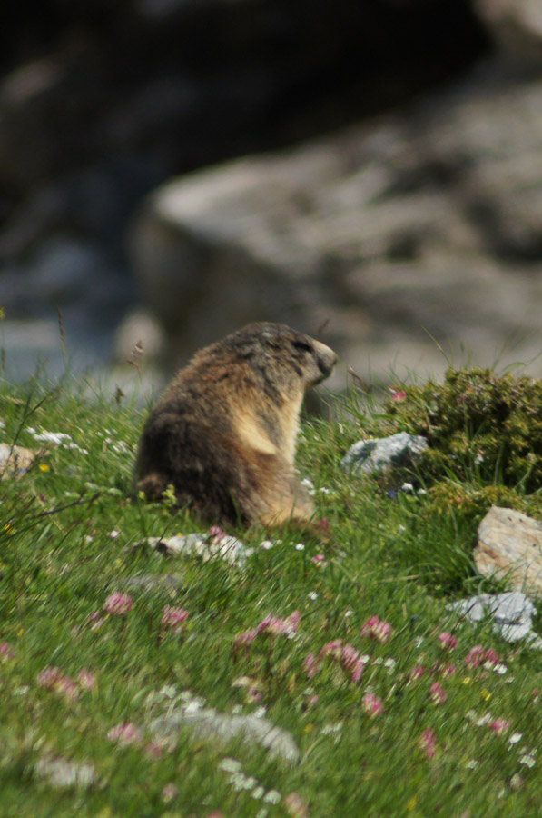 Rando entre le lac des Gloriettes et le cirque d'Estaubé