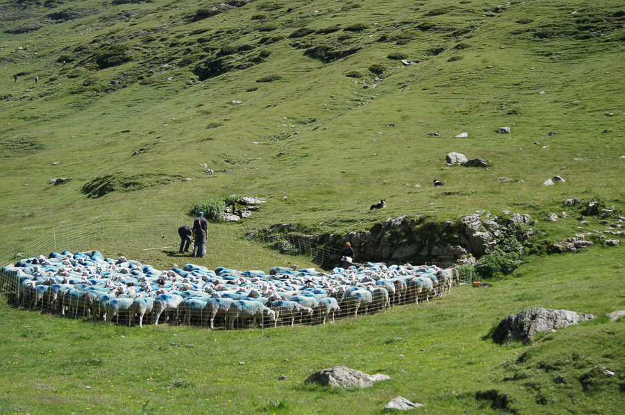 Rando entre le lac des Gloriettes et le cirque d'Estaubé