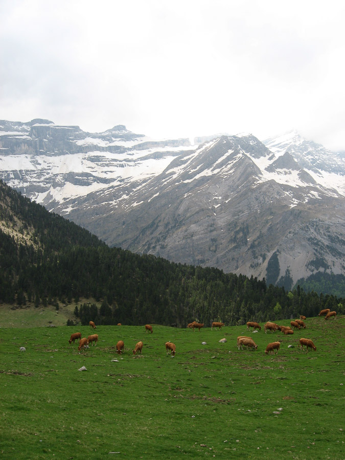 Le sentier en corniche offre une autre vue sur le cirque et quelques passages sous le rocher. 