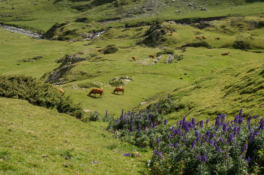 Rando Lac des Gloriettes à Gavarnie par la Hourquette D'Alans