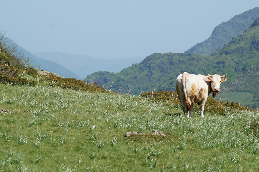Rando autour des granges de coumély en partant du lac des Gloriettes