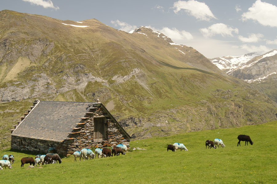 Rando autour des granges de coumély en partant du lac des Gloriettes