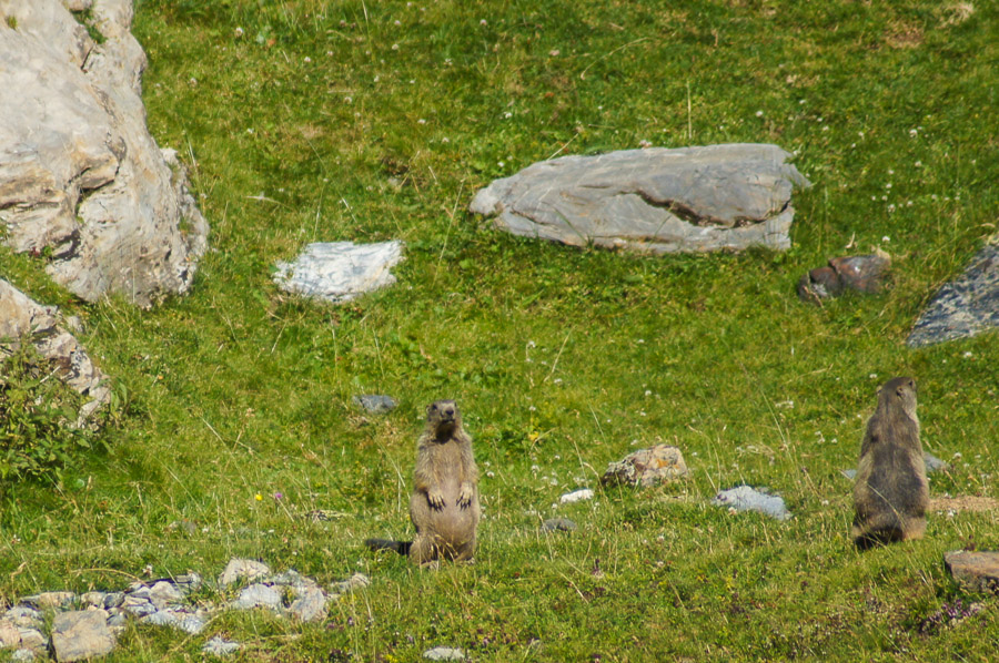 Rando au lac de la Bernatoire depuis la cabane de Milhas