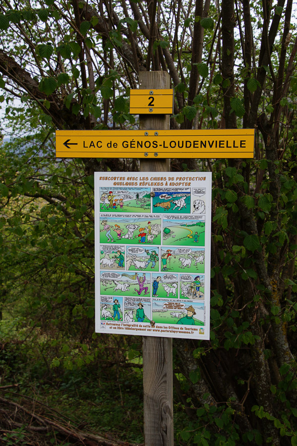 Tour du lac de Loudenvielle